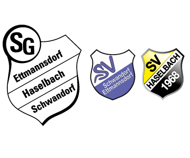 Logo SG Schwandorf Fussballjugend